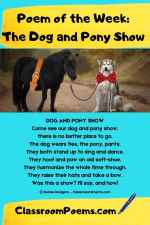 DogandPonyShowPIN