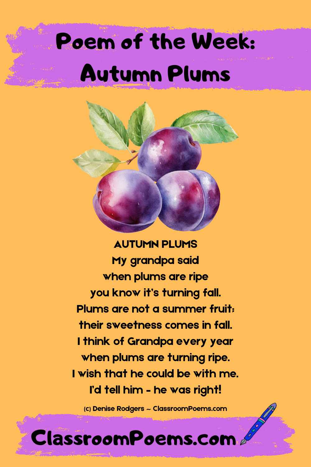 Poem of the Week about AUTUMN PLUMS, by Denise Rodgers on ClassroomPoems.com.