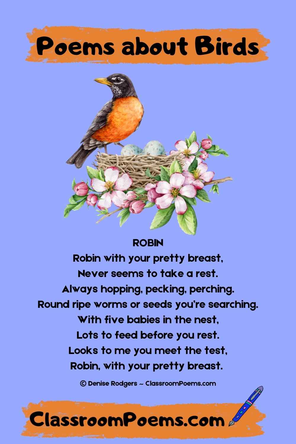 ROBIN, a poem about birds by Denise Rodgers on ClassroomPoems.com.